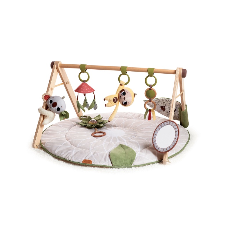 Tiny Love Boho Chic Luxe Developmental Gymini
