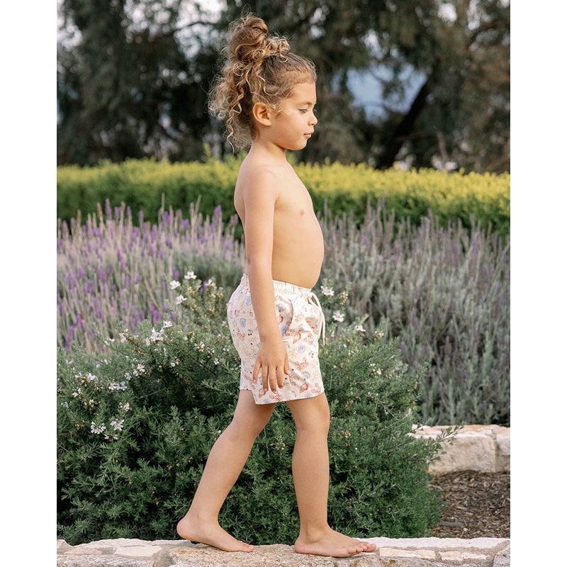 Boardshort – Nautical