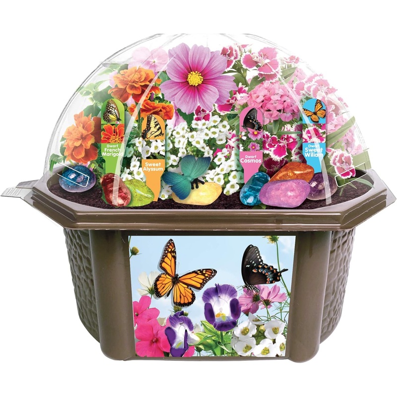 Grow Your Own Butterfly Garden – Delightful Sweet Smelling Flowers