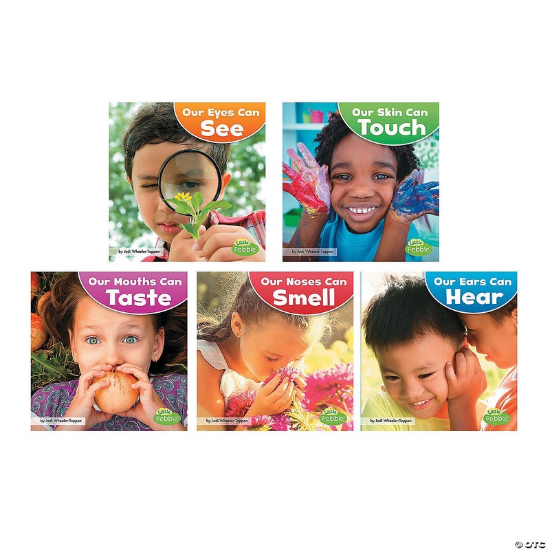 Our Amazing Senses