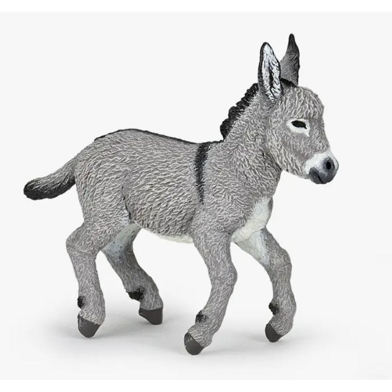 Provence Donkey Foal