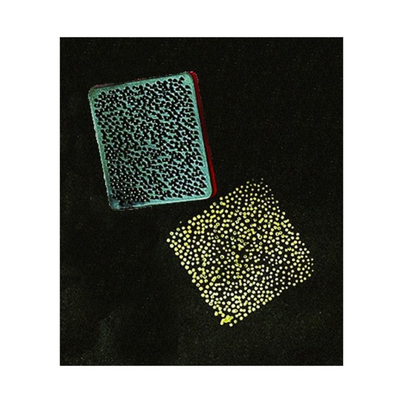 Stipple Effect Paint Stamper