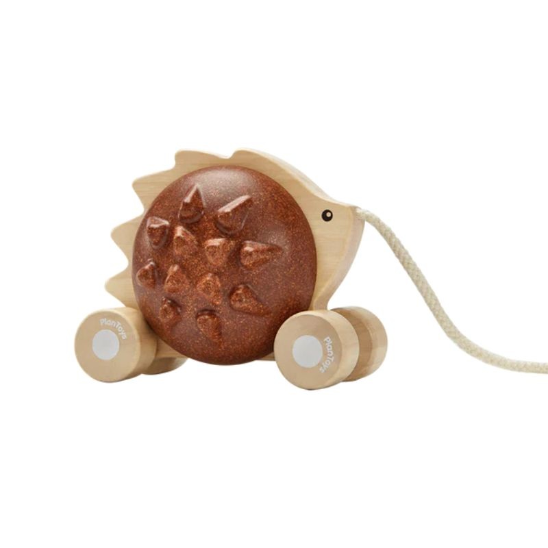 Pull-Along Hedgehog