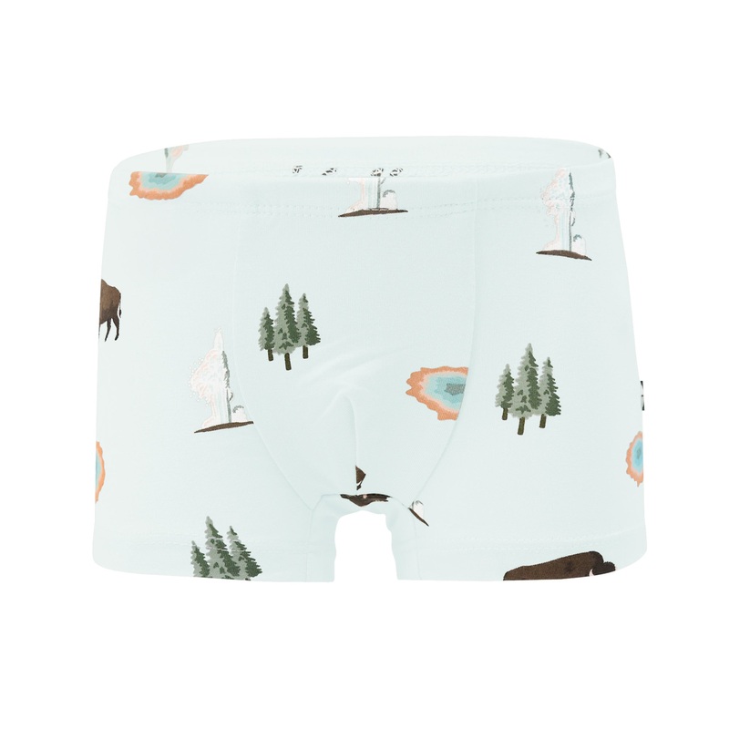 Briefs in Yellowstone