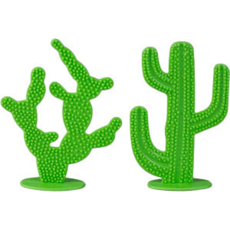 2 Piece Cactus Set