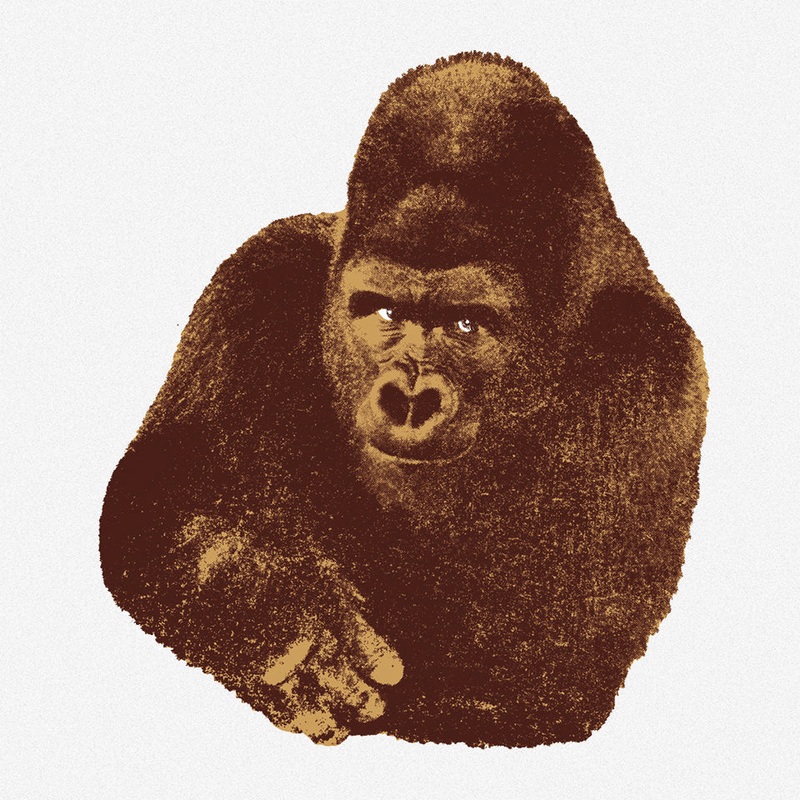 Art Edition Screenprint – il Gorilla