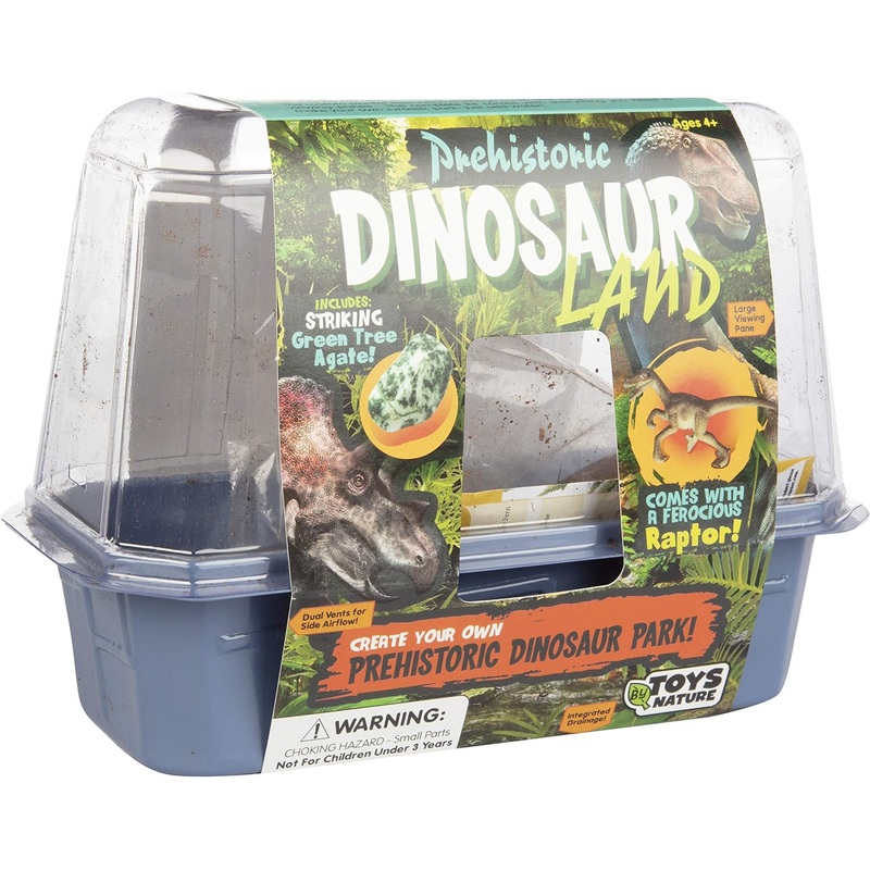 Grow Your Own Prehistoric Dinosaur Land – The Upright and Arching Ferns are Easy and Beautiful to Grow