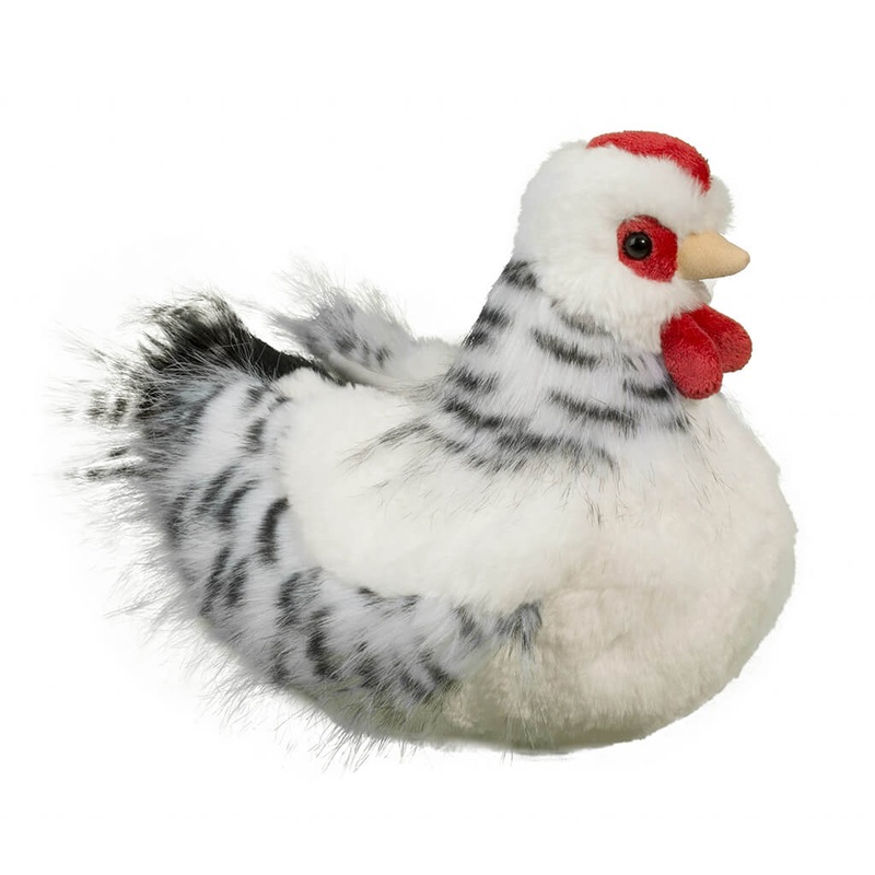 Salty Black and White Hen