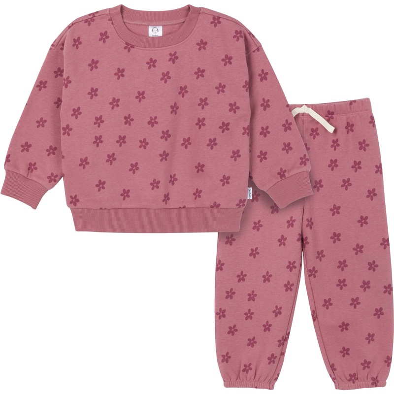 2-Piece Toddler Girls Daisies Sweatshirt & Pant Set