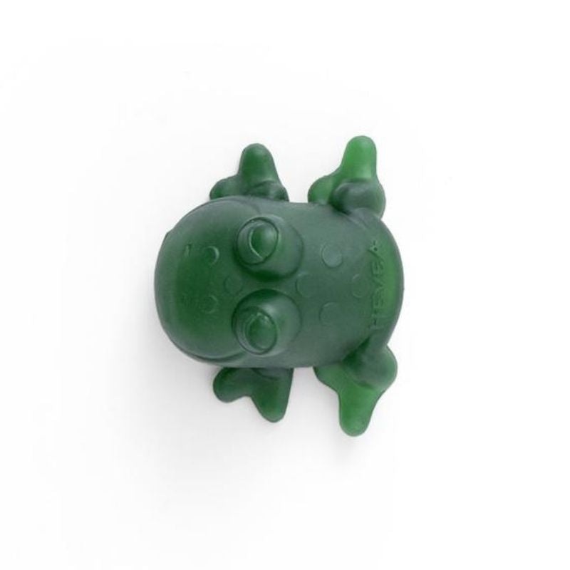 Bath Toy – Fred The Frog