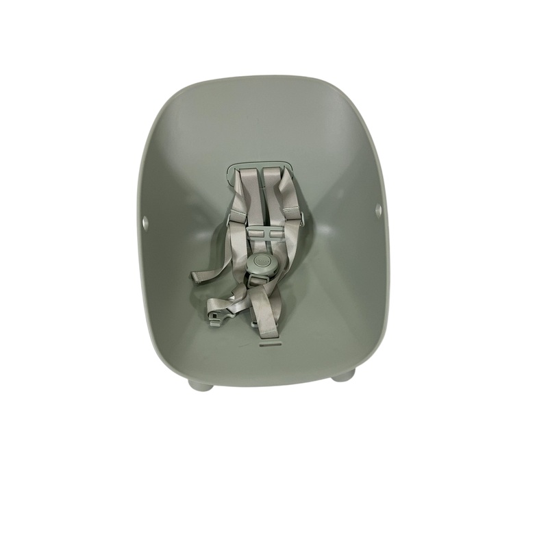 Lalo The Chair, Sage, Natural Wood