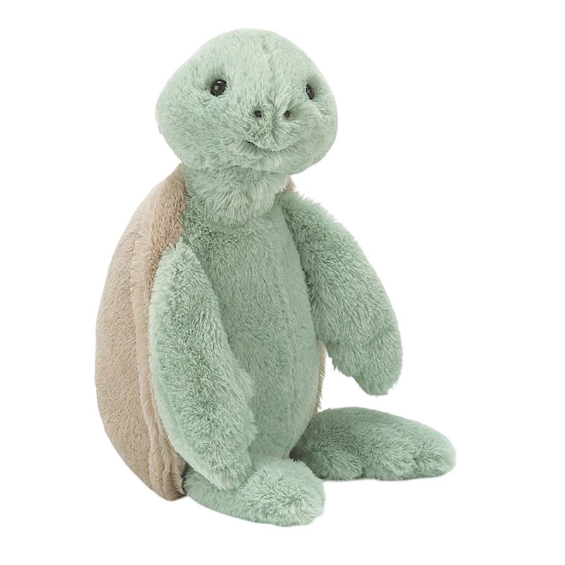 Bashful Turtle