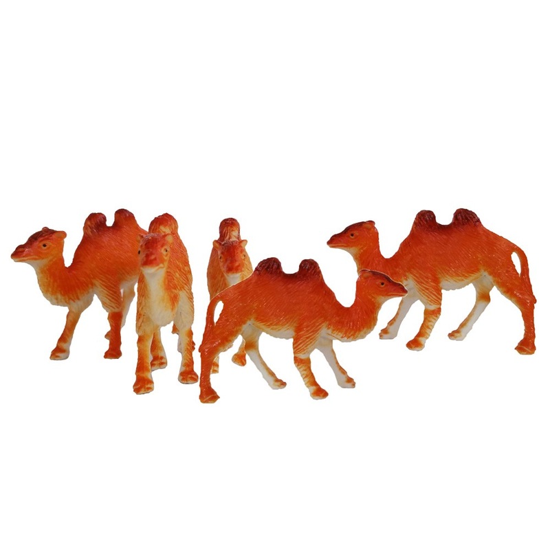 Camel 5-Pack