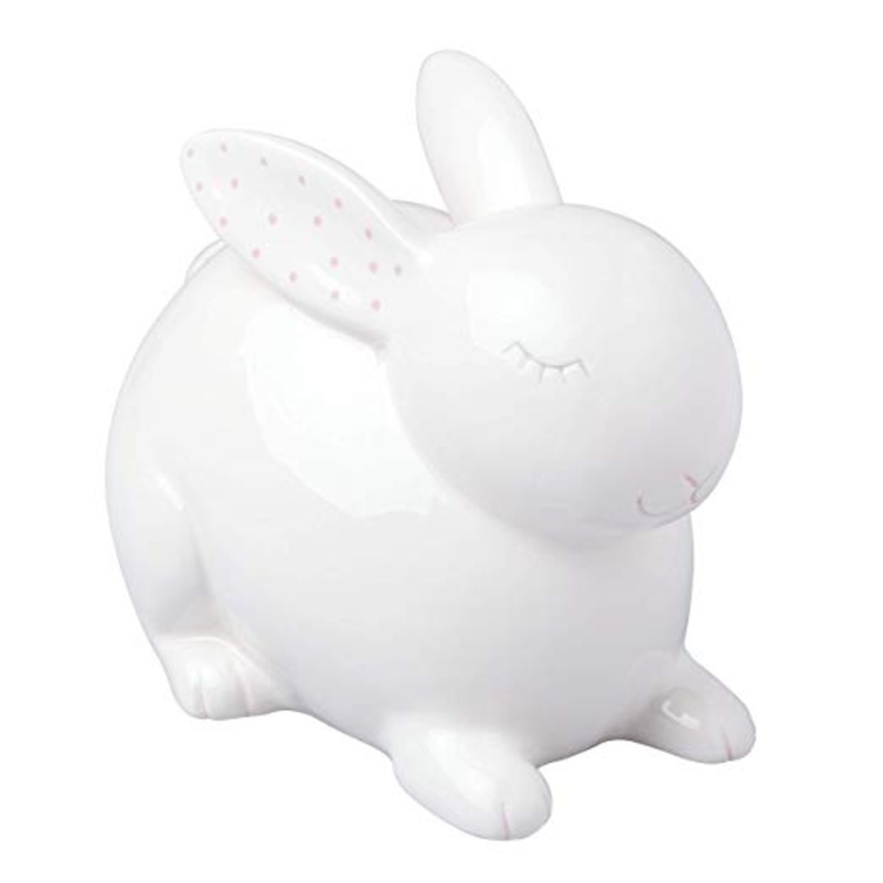 Ceramic Piggy Bank