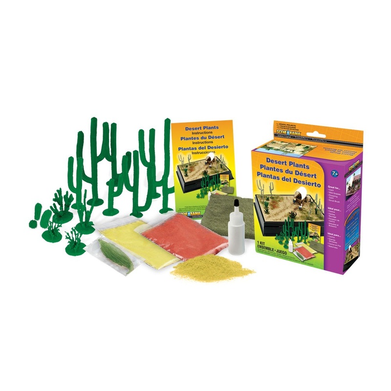 Desert Plants