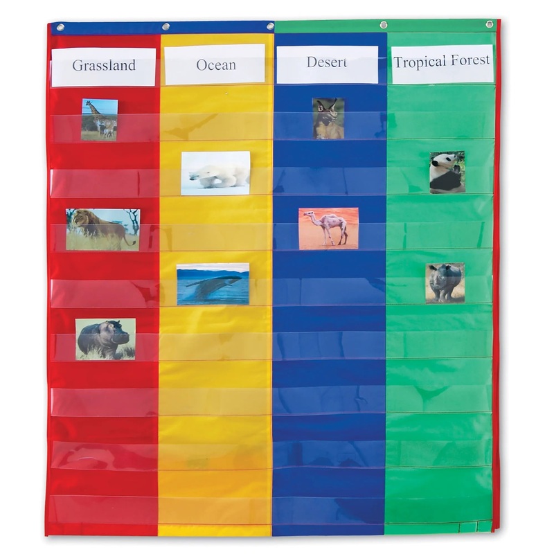 2 + 4 COLUMN POCKET CHART