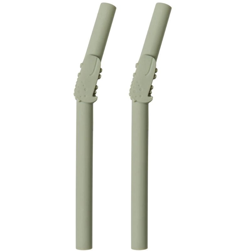 Born to be Wild – 2 Pack Kids Silicone Straws