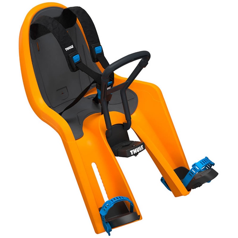Thule RideAlong Mini Child Bike Seat – Zinnia