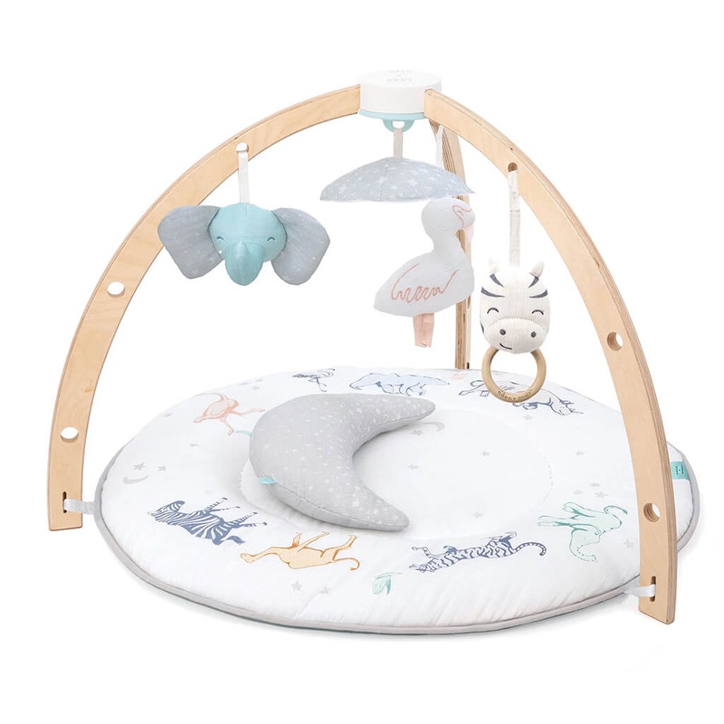 Baby Activity Gym