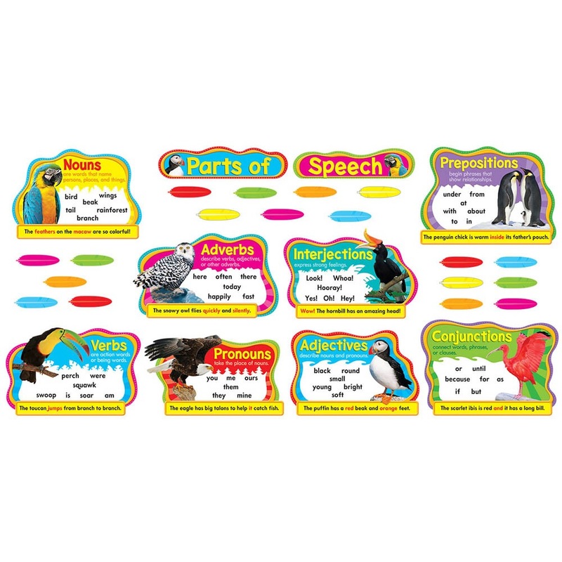 Colorful Birds Parts of Speech Bulletin Board Set