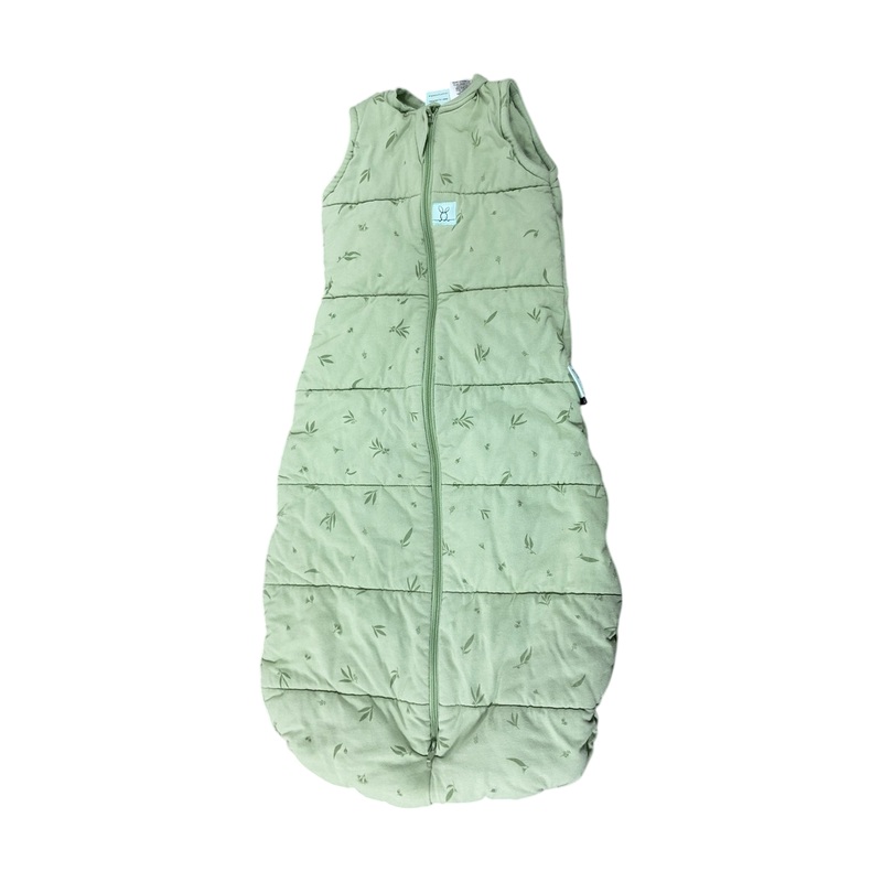ErgoPouch Cocoon Swaddle Bag 2.5, Willow, 3-12M (000-1)