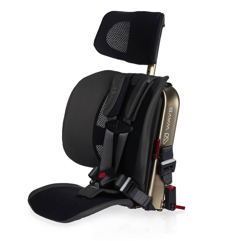 Pico Portable Car Seat – Earth