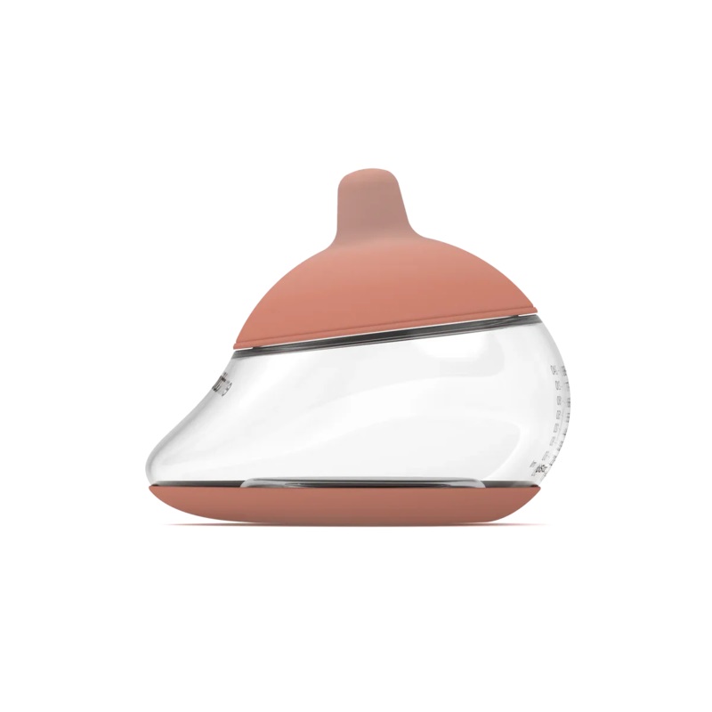 Anatomy Bottle Shape 4 Color Medium