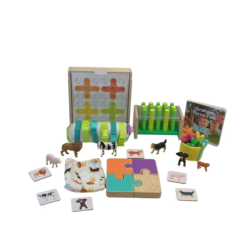 Lovevery The Companion Play Kit