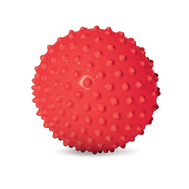 The Original Sensory Ball