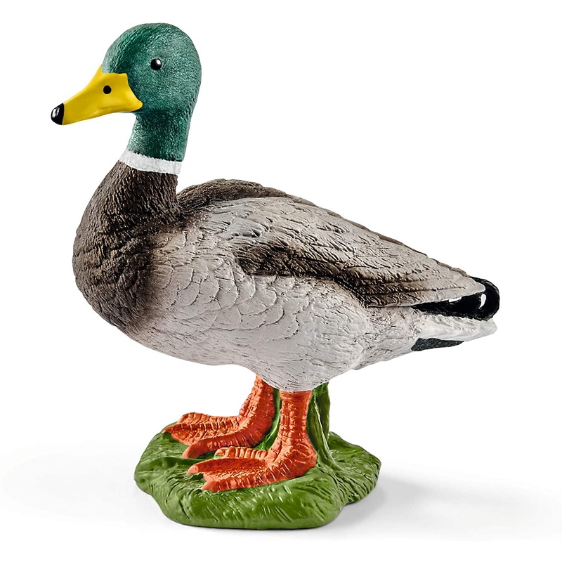 Schleich Drake Duck