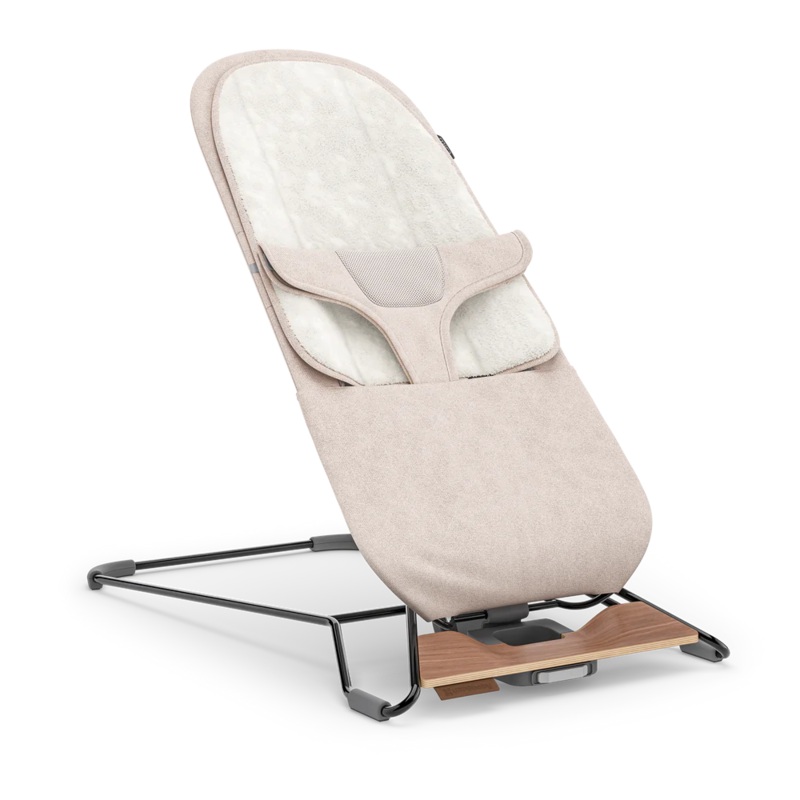 Mira 2-in-1 Bouncer and Seat – Charlie