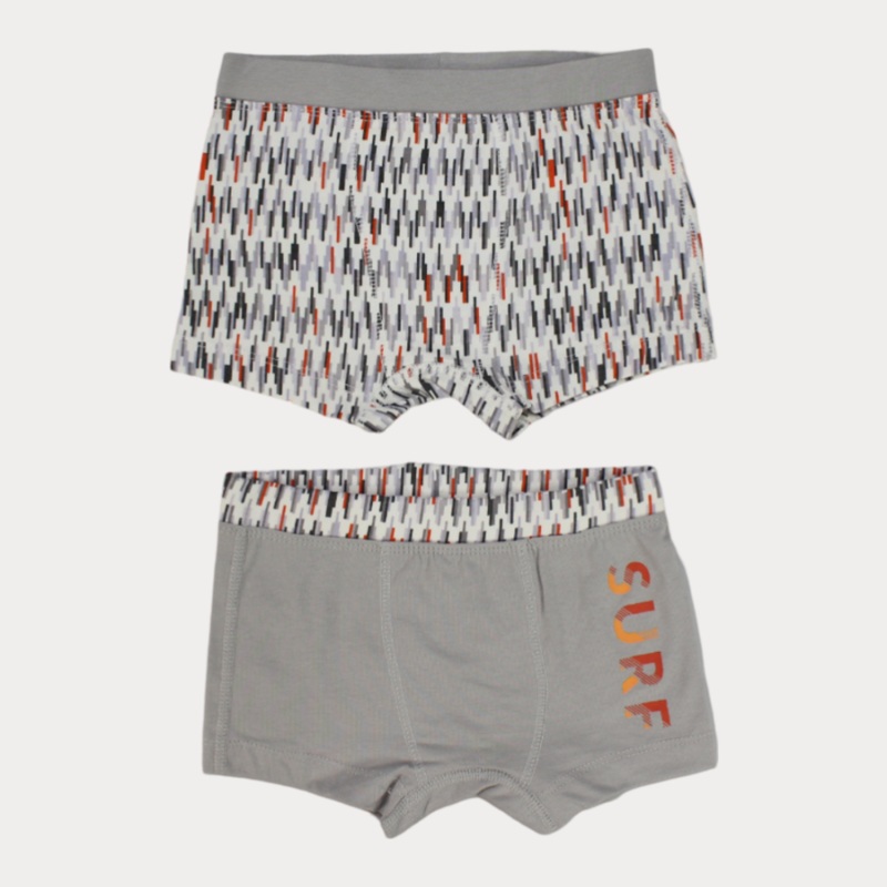 Printed Boxer Shorts (Pack Of 2)
