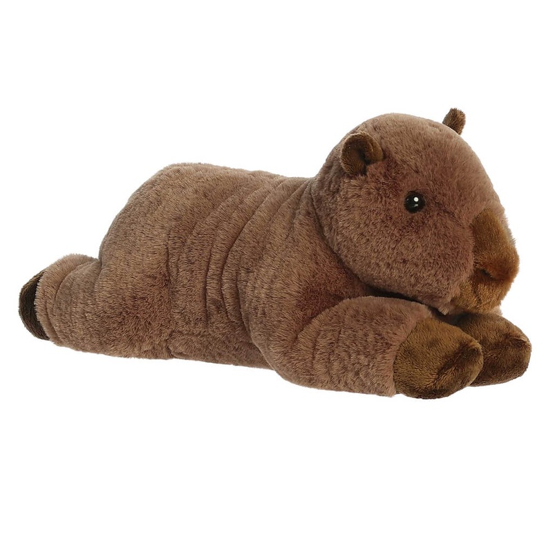 Capybara