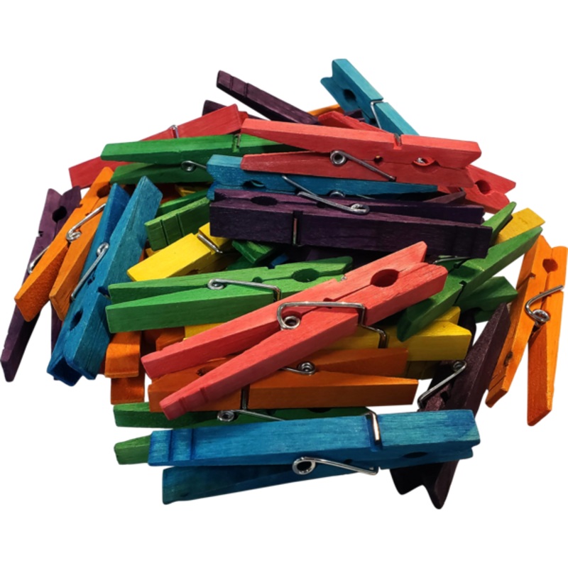 STEM Basics: Multicolor Clothespins – 50 Count