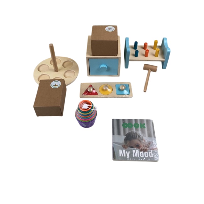 Oook Montessori Educational Box, 13-18 Months