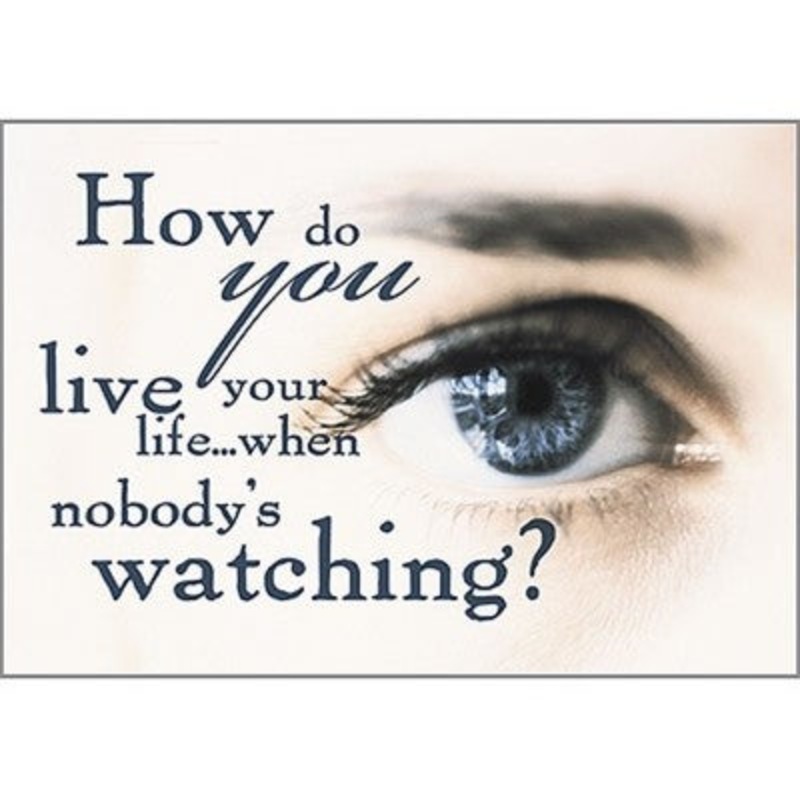 Argus Poster: How Do You Live Your Life