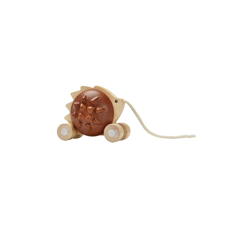 Plan Toys Pull Along Hedgehog