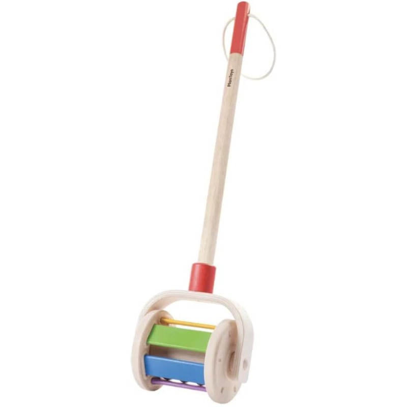 Walk N’ Roll Push & Pull Toy