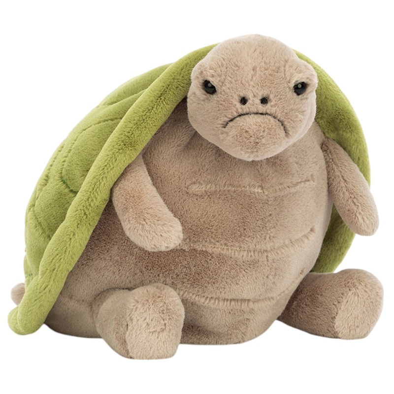 Timmy Turtle