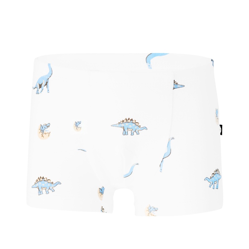 Briefs in Jurassic
