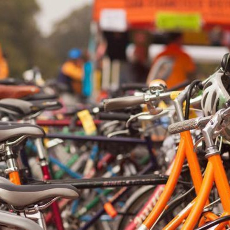 Biking with Children (Crawling Babies to 10 Years): In Person $30 Donation